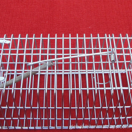 Small Animal Trap Cage Rodent Rat Trap mouse trap cage for house Factory